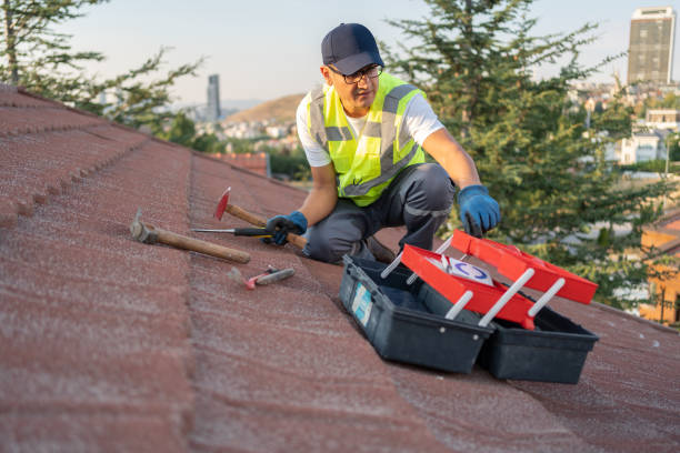 Best Steel Siding Installation  in Woodlyn, PA